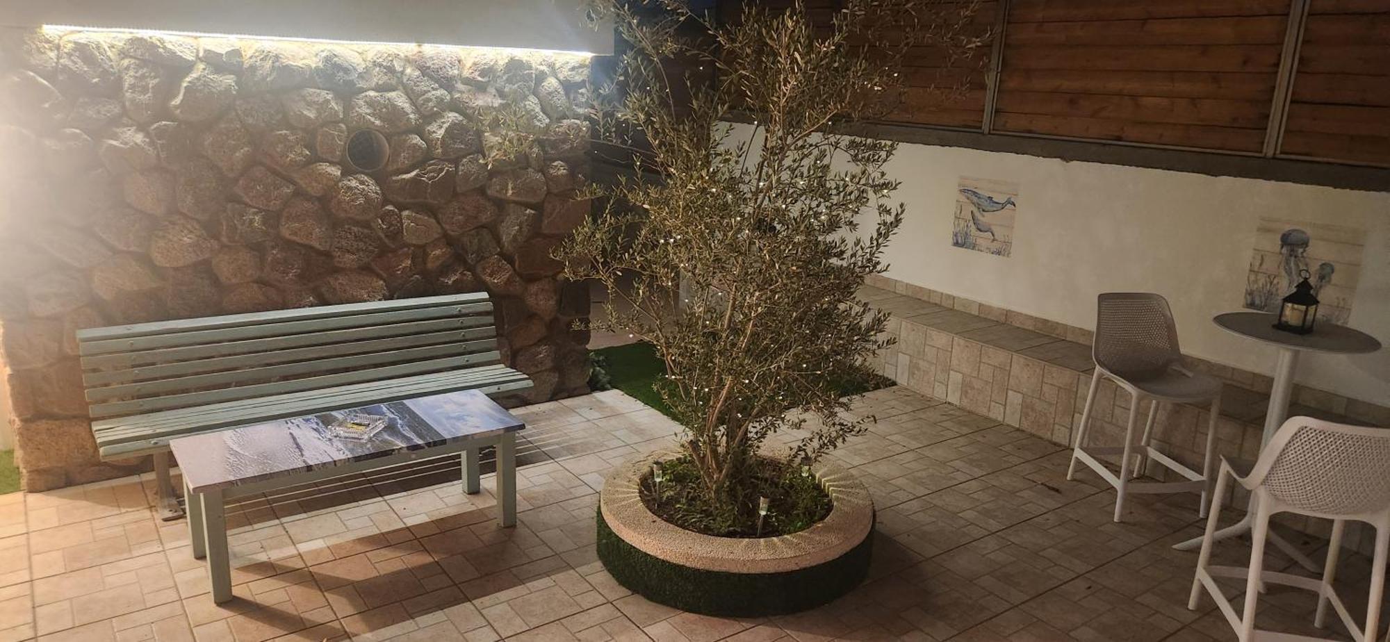 הקונכייה *